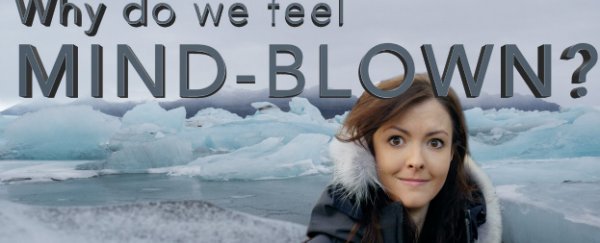 WATCH: Why do we feel mind-blown?