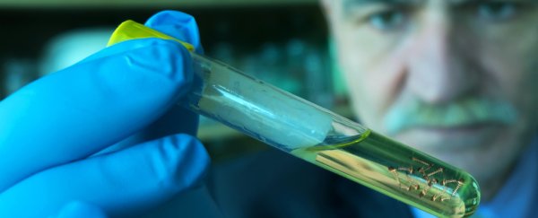 Researchers inject dengue into vaccinated volunteers and find 100% were protected