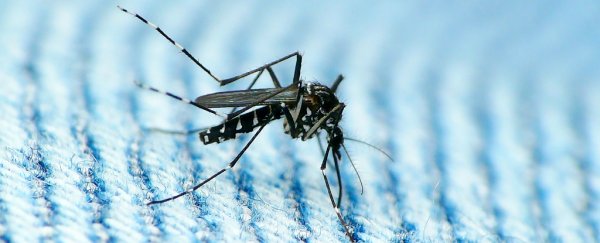 First case of sexually transmitted Zika has been reported in the US