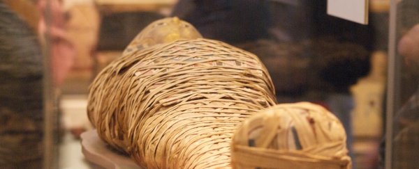 Archaeologists are using X-rays to read inside Egyptian mummy coffins