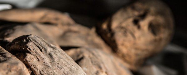 This mummy's DNA might help us finally figure out where smallpox came from