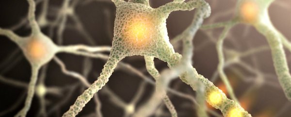 New evidence suggests Parkinson's might start in the gut, not the brain