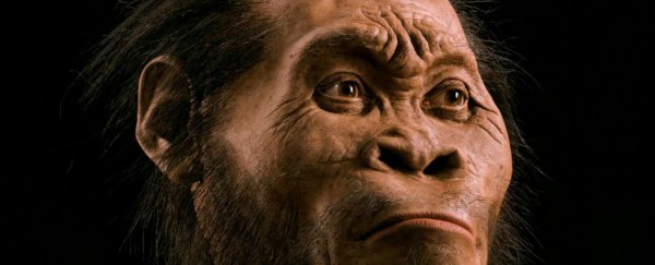 Here's everything you need to know about the newly discovered hominid species