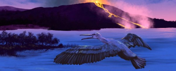 A just-discovered, 90 million year-old bird could help us predict the future of the planet