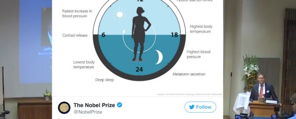 Nobel Prize in Medicine awarded to 3 Americans who explained our circadian rhythms