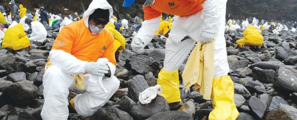 Scientists want to use bacteria to clean up oil spills - and it could actually work