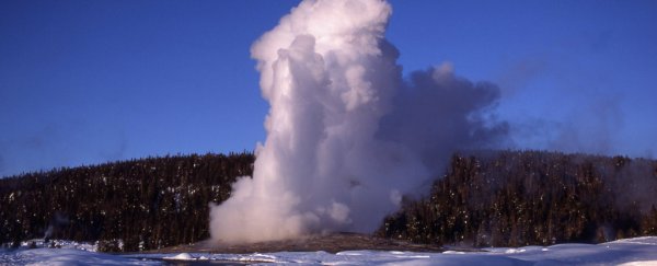 Snow is 'erupting' from Yellowstone's Old Faithful geyser