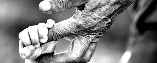 A promising anti-ageing drug is about to undergo human trials for the first time