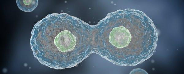 We might finally know what triggered living cells to evolve for the first time