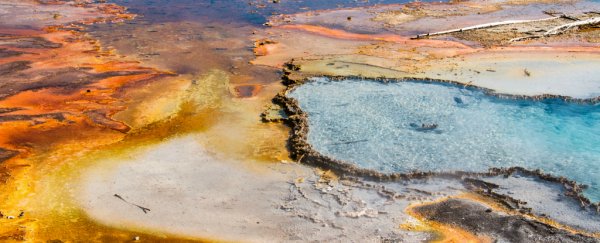 We might finally have found where complex life came from