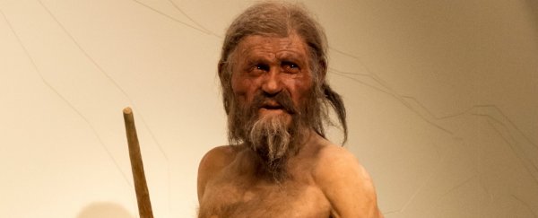 We finally know what Ötzi the Iceman ate for his last meal