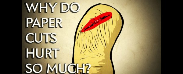 Science has worked out why paper cuts hurt so damn much