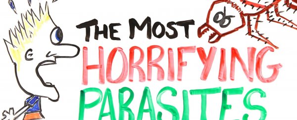 WATCH: These are the most horrifying parasites ever