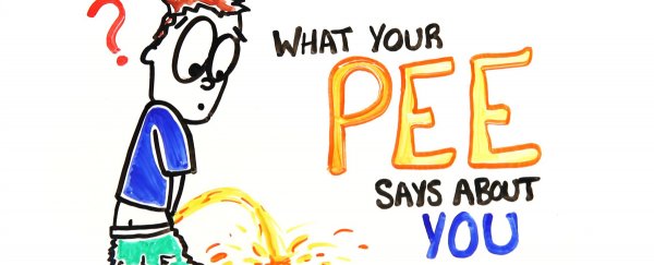 WATCH: What does your pee say about your health?