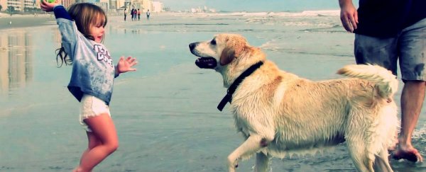 Children say they get more satisfaction from pets than siblings, new study finds