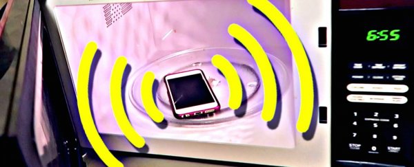 This simple experiment shows you whether your microwave is (safely) leaking
