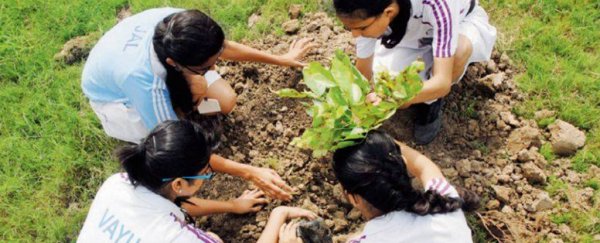 A school in India is asking parents to plant a tree instead of paying fees