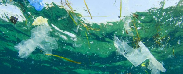 By 2050, there'll be more plastic than fish in our oceans