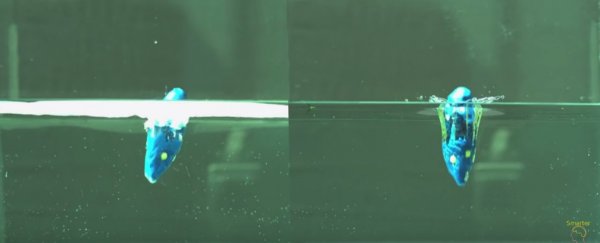 Here's the science-backed way to poop without splashback