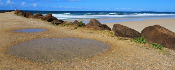 The building blocks of life might have emerged from a 'primordial puddle' 3.8 billion years ago