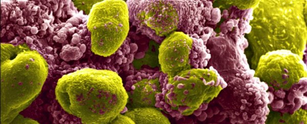 A man's prostate cancer has disappeared with an experimental treatment