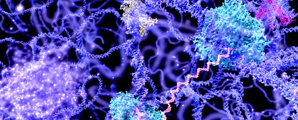 We can now 'cut and paste' RNA in addition to DNA, and it could disable viruses