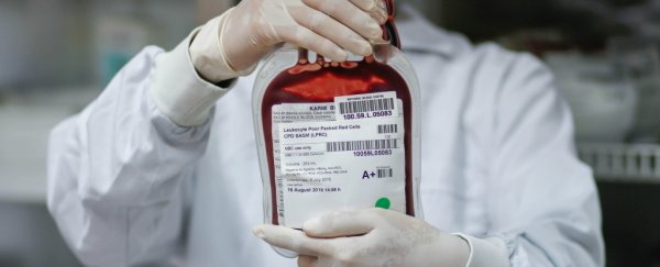 Immortal stem cells let scientists create an unlimited supply of artificial blood