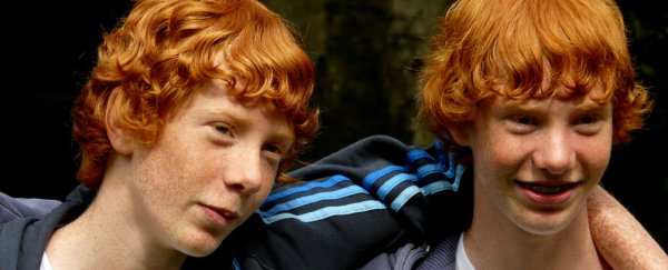 Identical twin study shows regular exercise boosts grey matter