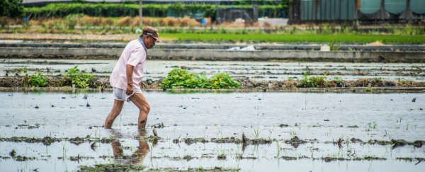 107 Nobel Laureates just signed a letter slamming Greenpeace over GMOs