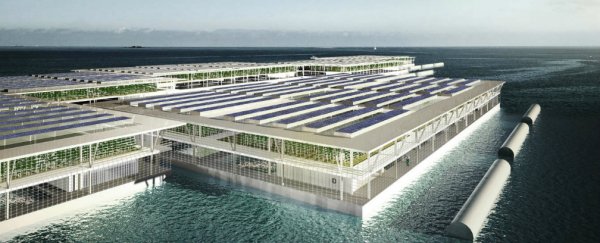 This giant floating farm could produce almost 10 tonnes of food each year