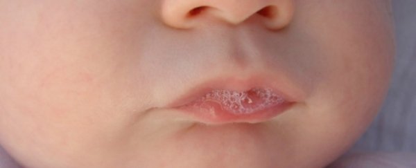 Scientists are trying to turn spit into an alternative to morphine