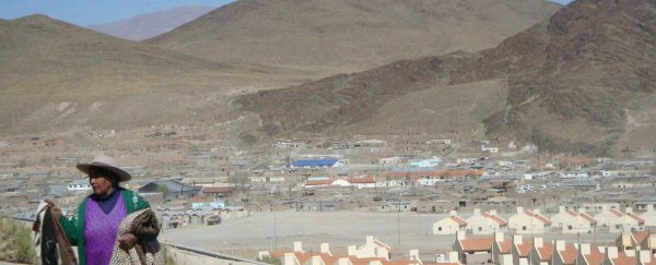Villagers high in the Andes have developed a genetic tolerance to arsenic