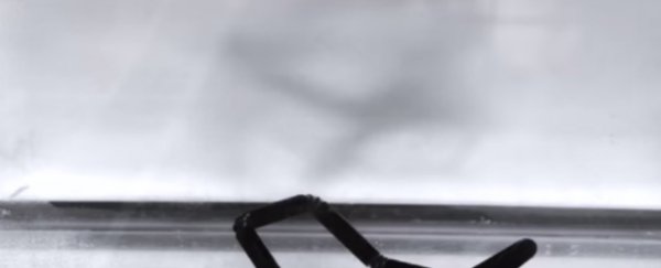 WATCH: 4D printing creates structures that self-assemble