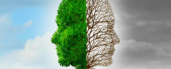 Scientists have identified the time of year the human brain is most active