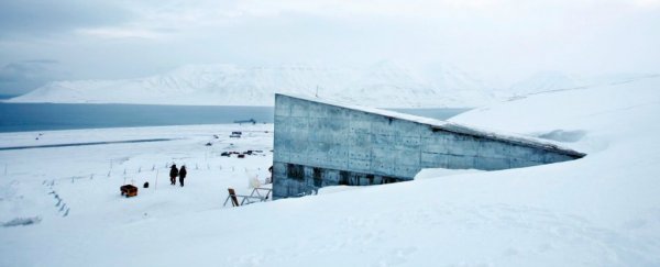 Here's what it looks like inside the frozen Svalbard 'doomsday vault'