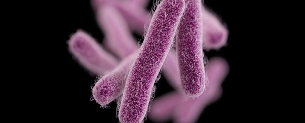 Drug-resistant food poisoning has arrived in the US