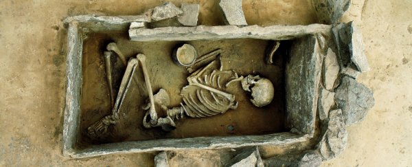 Ancient DNA reveals how agriculture changed our height, digestion, and skin colour