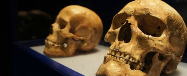 6,000-year-old skulls unearthed in Russia show signs of ritualistic drilling