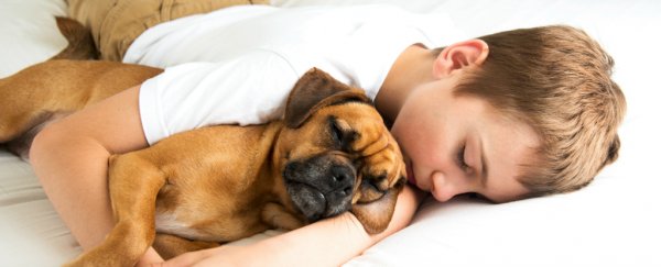 Sleeping with your pet could help you get a better night's rest