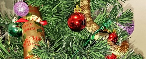 An Australian woman found a metre-long snake wrapped around her Christmas tree
