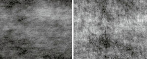 Humans might have evolved to spot an animal hidden in this picture