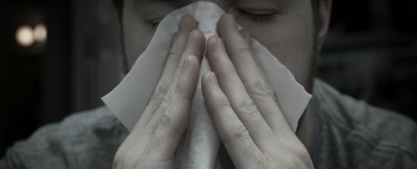 Why do people sneeze in a series of three?