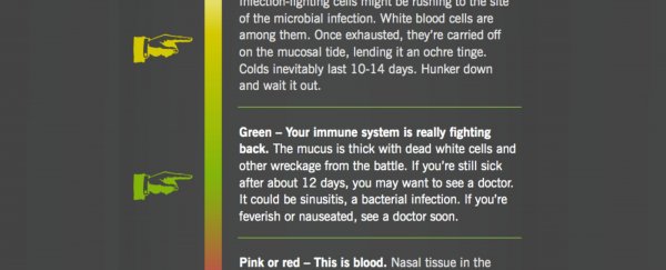 Infographic: What does the colour of your snot say about your health?