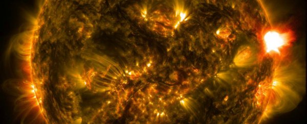 Tree rings suggest an unexpected solar event occurred 7,000 years ago