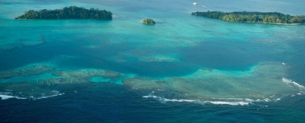 Five islands have disappeared into the Pacific Ocean, and six more are following suit