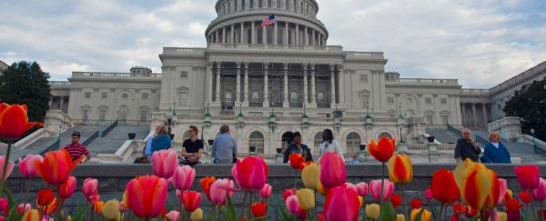 Something rare happened in 2000, and we're getting the earliest spring since 1896 as a result