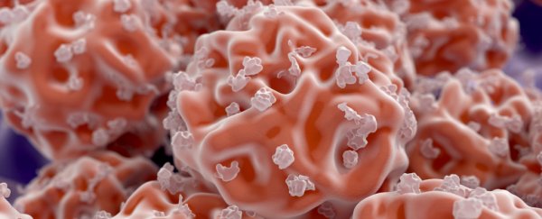 Researchers think they’ve just found a new kind of stem cell