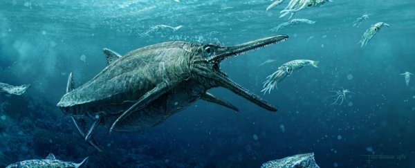 Meet the 170-million-year-old 'sea monster' that was just uncovered in Scotland