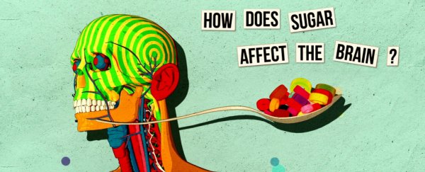 Watch: This is how sugar affects your brain