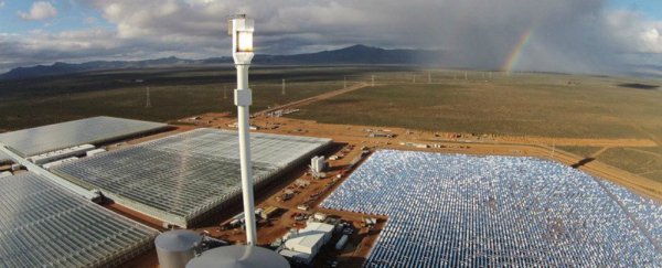 This world-first farm grows vegetables in the desert with nothing but Sun and seawater